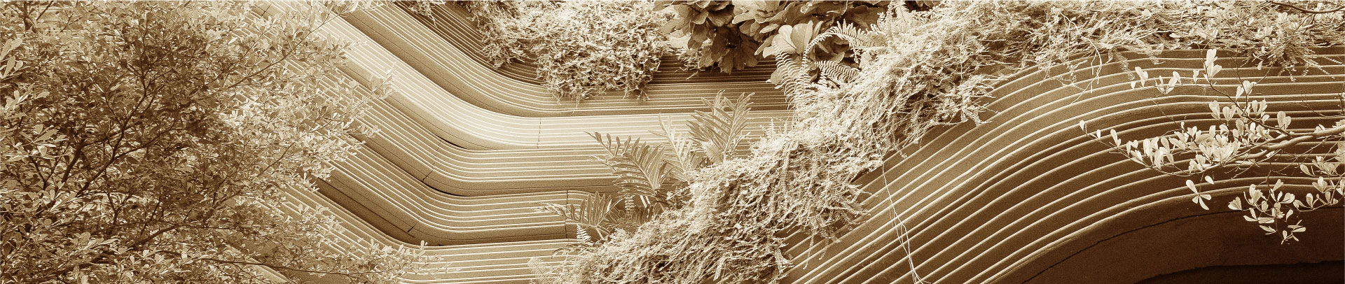 Bannière expertise environnementale